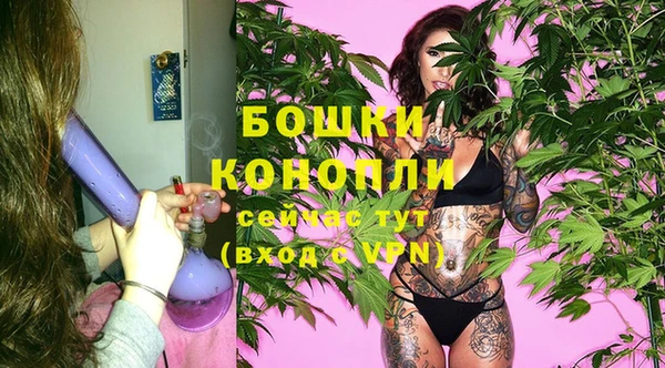 PSILOCYBIN Верхний Тагил