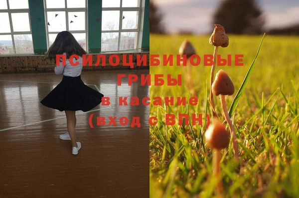 винт Бородино