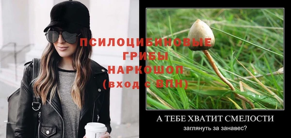 PSILOCYBIN Верхний Тагил