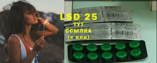 PSILOCYBIN Верхний Тагил