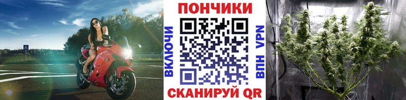 Купить  Зерноград  Бошки марихуана Ganja 